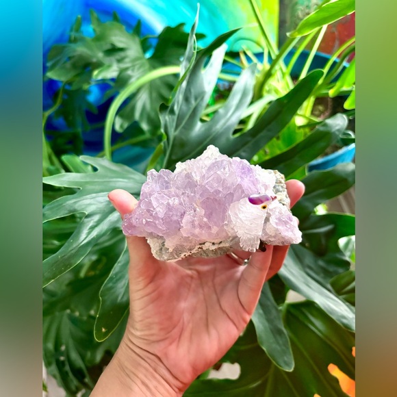 Parrot carving on Amethyst flower - Picture 6 of 8